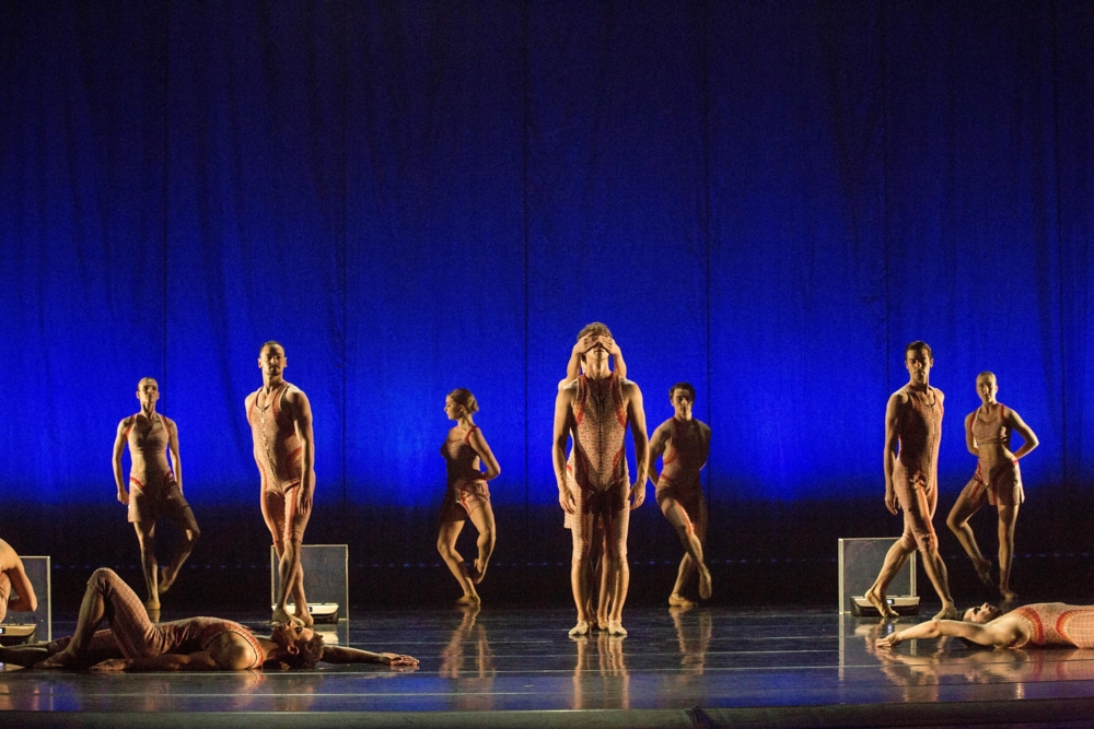 https://s7d9.scene7.com/is/image/RoseBrand/Royal-Ballet-of-Flanders-Voile-Poly Silk-1